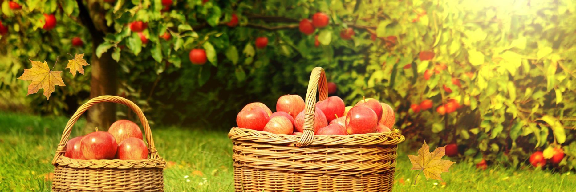 Успей купить